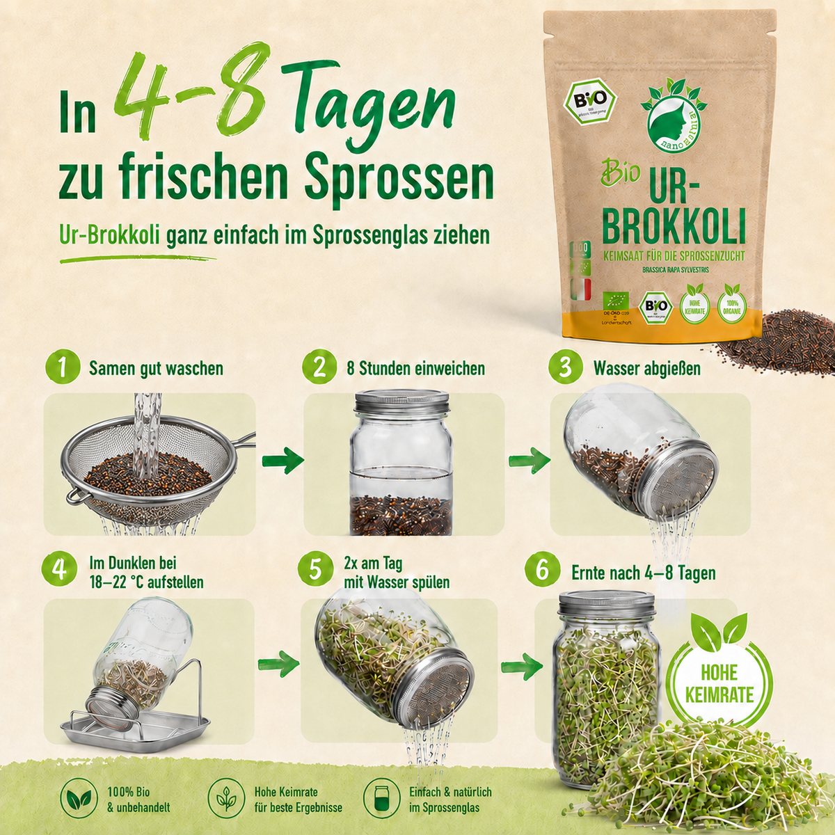 Bio Ur-Brokkoli Keimsaat 180g