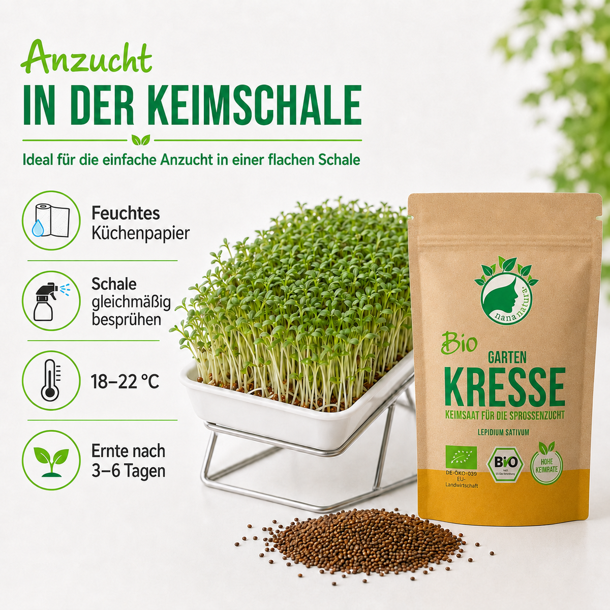 Bio Kresse Keimsaat 180g