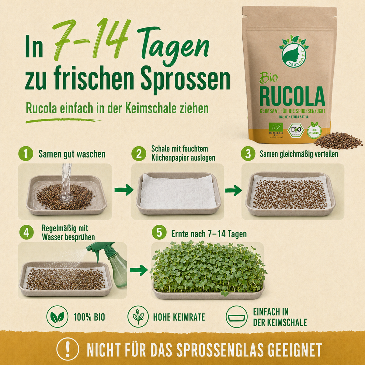 Bio Rucola Keimsaat 180g