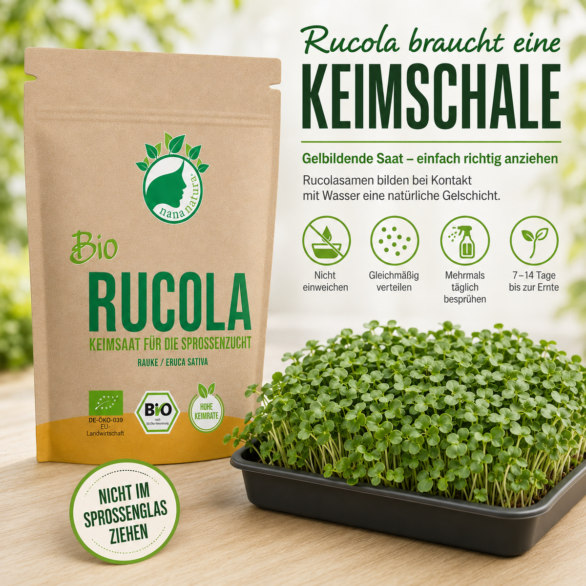 Bio Rucola Keimsaat 180g