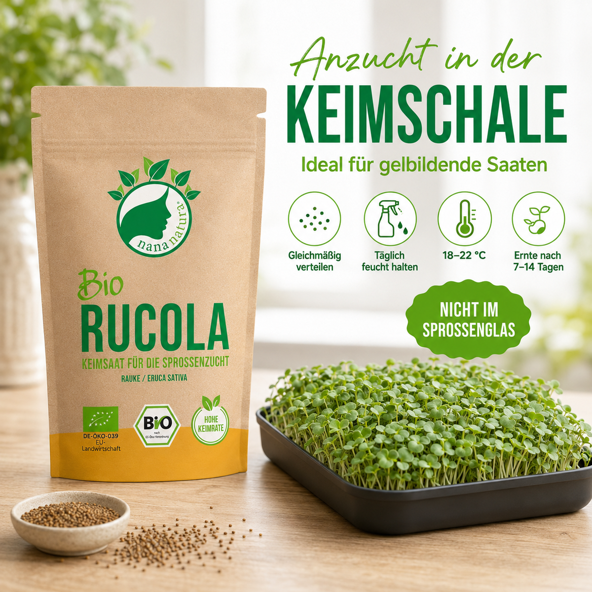 Bio Rucola Keimsaat 180g