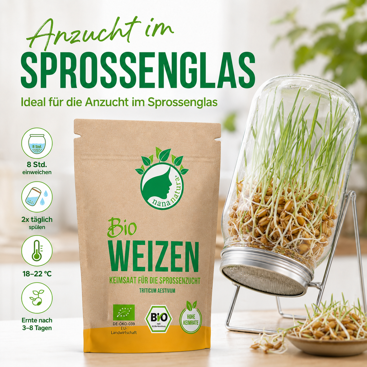 Bio Weizen Keimsaat 180g