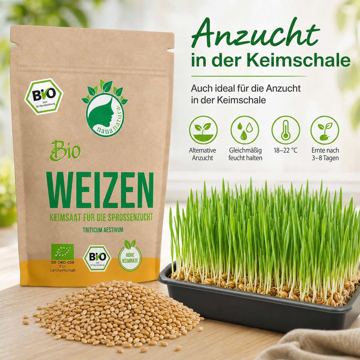 Bio Weizen Keimsaat 180g